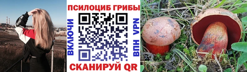 Псилоцибиновые грибы прущие грибы  купить закладку  Курган 