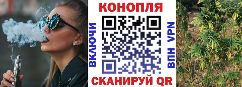 Конопля Amnesia Курган